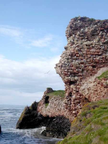 Dunbar Harbour by Hannnah Dolby