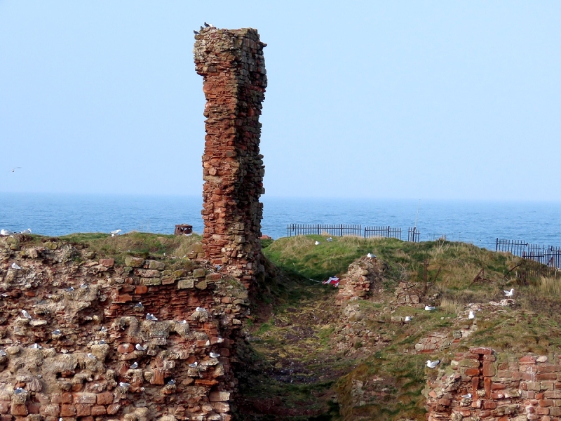 Dunbar Harbour by Fay Stanton