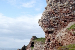 Dunbar Harbour by Hannnah Dolby
