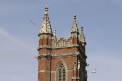 Our Lady Star of the Sea by Robert Wincup -  Kittiwakes