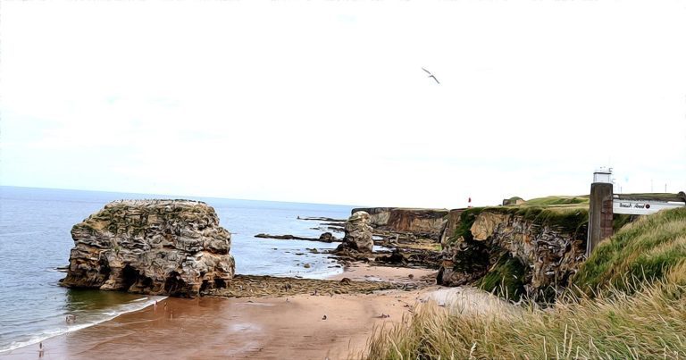 Marsden Rock - Summer 2022 by Paul Buskin