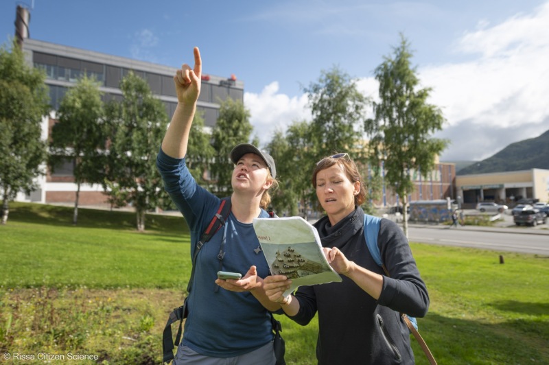 1_Kittiwakes-From-RISSA-Citizen-Science–Tromso-in-Norway-12