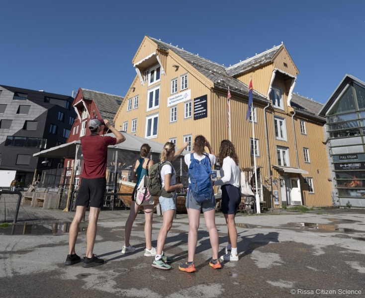 Kittiwakes-From-RISSA-Citizen-Science–Tromso-in-Norway-13