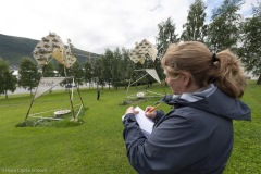 Kittiwakes-From-RISSA-Citizen-Science–Tromso-in-Norway-05jpg