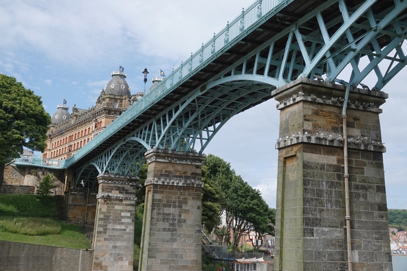 Kittiwakes nesting on the Spa Bridge by Nick Addey from 2024