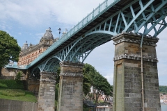 Kittiwakes nesting on the Spa Bridge by Nick Addey from 2024