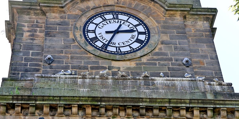 St Marys Heritage Centre  in Gateshead from 2024