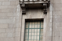 Kittiwakes nesting on a Tyne Bridge Tower - Newcastle Quayside